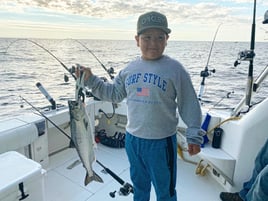 Salmon & Trout Fishing