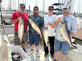 Salmon & Trout Fishing