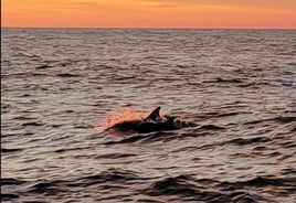 Sunset Cruise