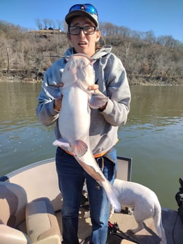 Catfish Trips