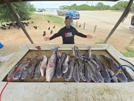 Central Texas Meat Haul Trips