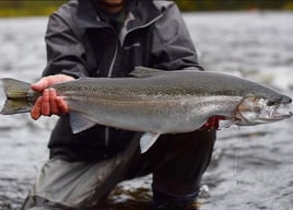 4-8 Hour Fishing Trip