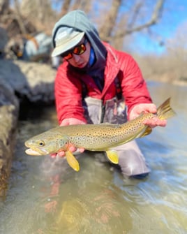4-8 Hour Fishing Trip