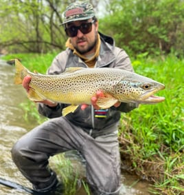 Chittenango Creek Fly Fishing Trips