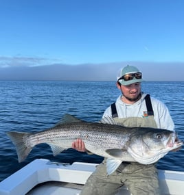 Striped Bass Fishing Trip