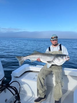 Striped Bass Fishing Trip