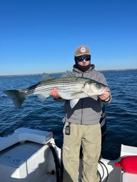 Striped Bass Fishing Trip
