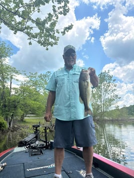 Largemouth Bass Fishing Trip