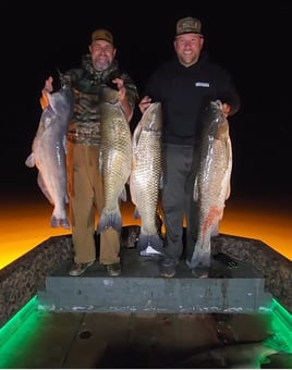 Bowfishing Trip