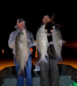 Bowfishing Trip