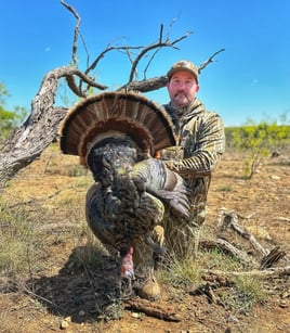 Self Guided Turkey Hunts
