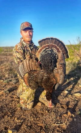 Self Guided Turkey Hunts