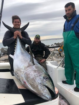 Deal Sea Fishing