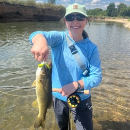 4-8 Hour Fishing - Beaver Tailwater