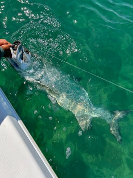 Islamorada Backcountry 