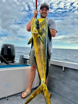 Puerto Vallarta Center Console