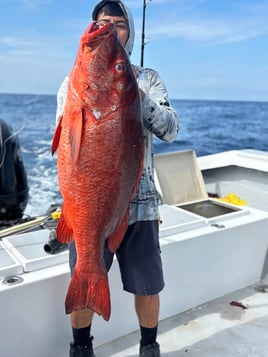 4-12 Hours 33' Center Console