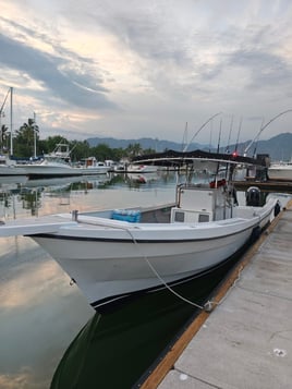 4-12 Hours 33' Center Console