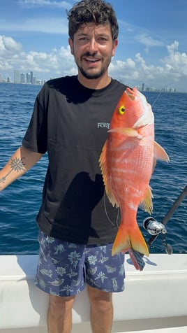 6-Hour Reef And Wreck Fishing