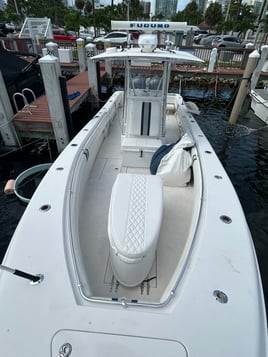 6-Hour Reef And Wreck Fishing