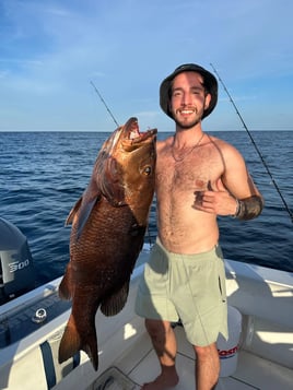 6-Hour Reef And Wreck Fishing