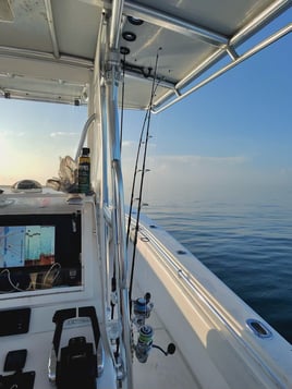 4-Hour Inshore & Nearshore Trips
