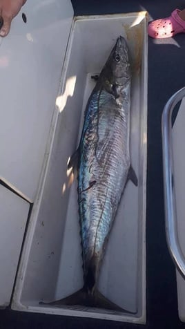 Deep Sea Fishing