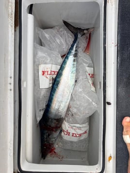 Deep Sea Fishing