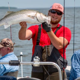 Day Trip – Striper Fish Fun