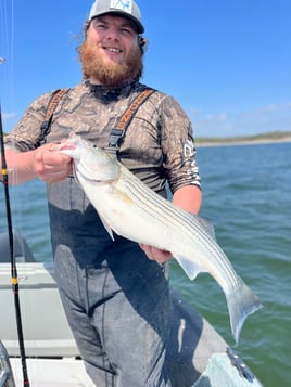 Day Trip – Striper Fish Fun