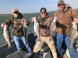 Winter Striper/ Catfish Combo