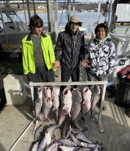 Winter Striper/ Catfish Combo