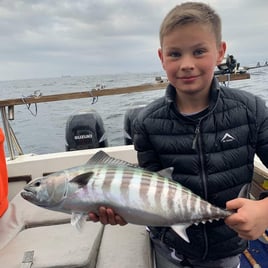  Half-Day Inshore