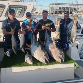 Full-Day Deep Sea Tuna