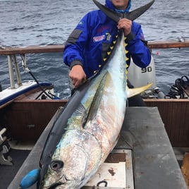 Full-Day Deep Sea Tuna