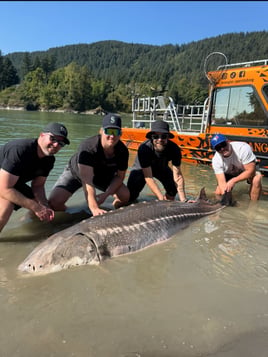 Sturgeon Fishing