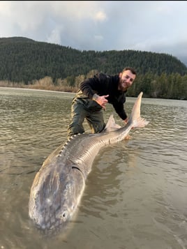 Sturgeon Fishing