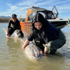 Sturgeon Fishing