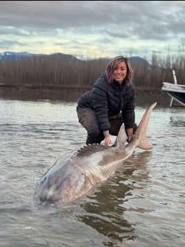 Sturgeon Fishing