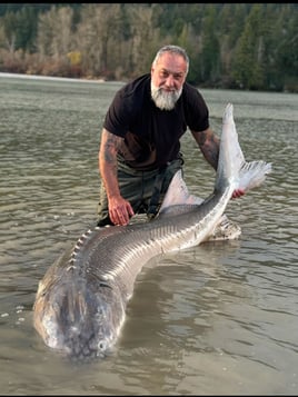 Sturgeon Fishing