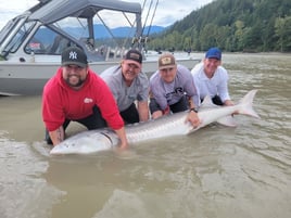 8-10 Hour Local Tour