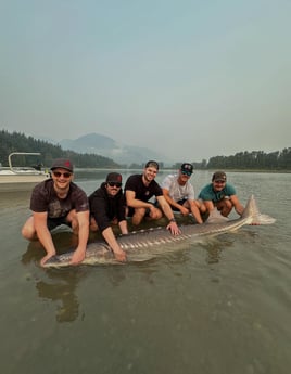 8 Hours Fraser Canyon 