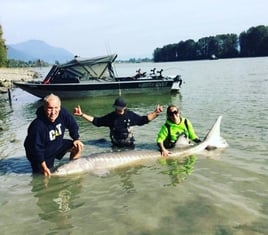 Sturgeon Fishing