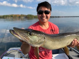 4-6 Hour Musky