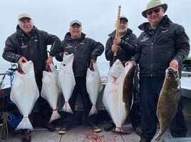 Halibut Charters