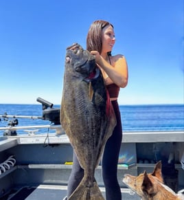  Salmon Halibut Crab Fishing