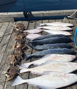  Salmon Halibut Crab Fishing