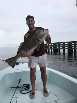 5-6 Hour Trip – Inshore