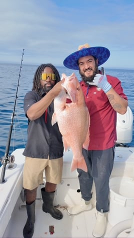 5-12 Hour Trip – Offshore