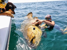 Captiva Fishing - Half Day